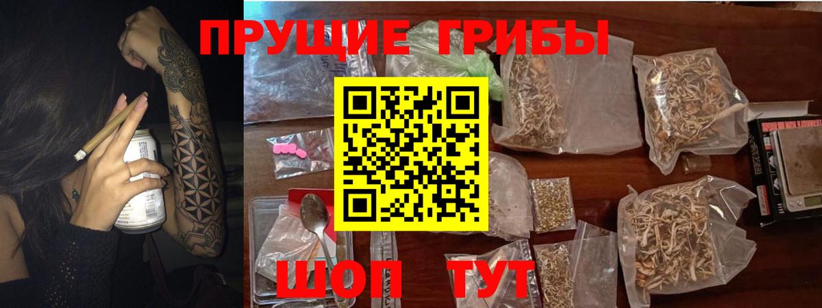 Псилоцибиновые грибы мухоморы Полысаево